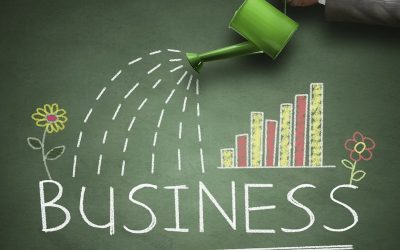 Small Business Pulse Survey  – Socially – Driven Companies