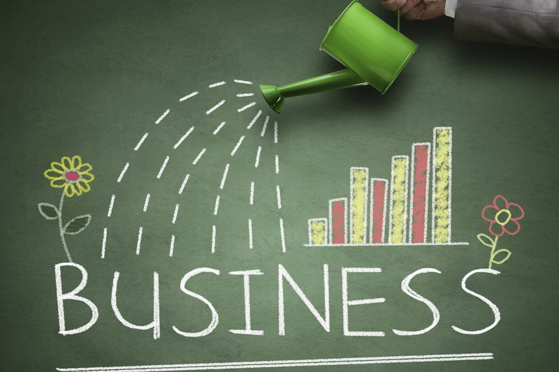 Small Business Pulse Survey  – Socially – Driven Companies