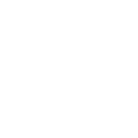 StratPro®